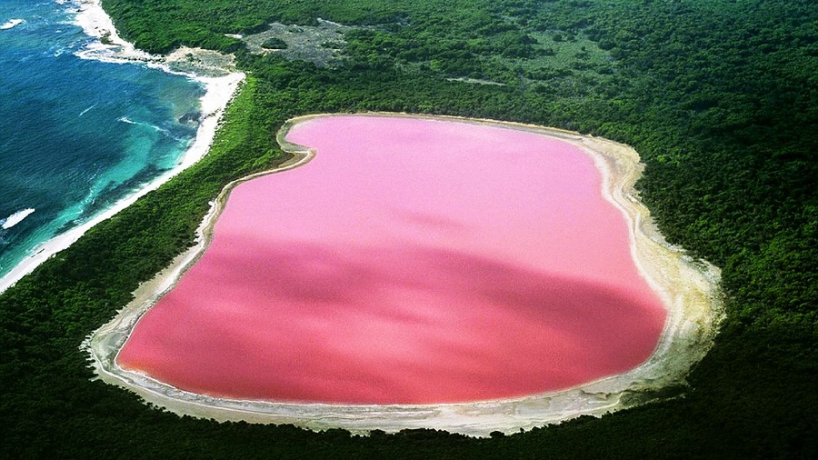 Avustralya pembe göl nerede