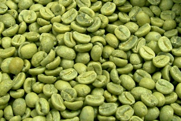 yeşil kahve